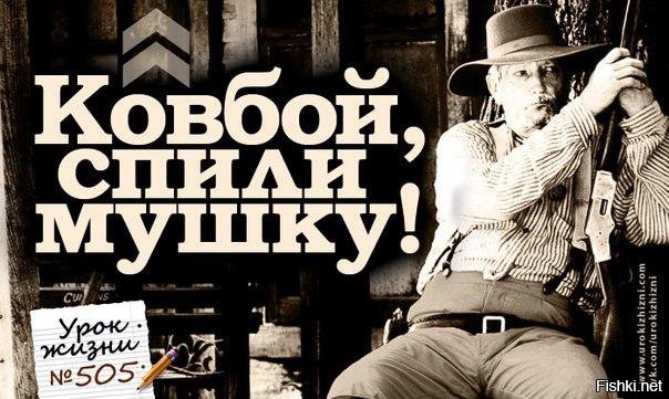 Из солянки от 23.02.2016