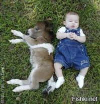 Спят усталые игрушки