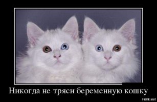 Подборка демотиваторов