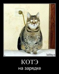 Вот выбирайте!