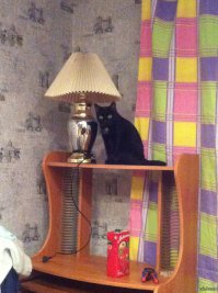 Вот выбирайте!