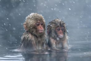 Подборка знаменитых фотографий журнала «LIFE»