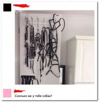 судя по ошейникам тут 2 мопса, тойтерьер, овчарка, собака баскервиллей и среднего размера бегемот