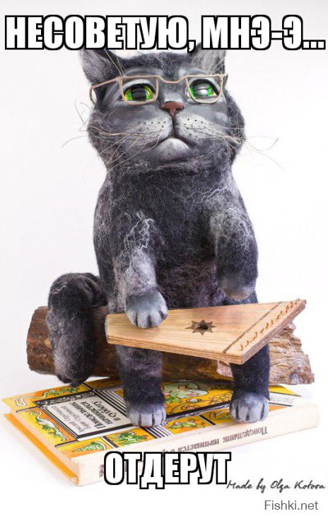 Из солянки от 23.02.2016