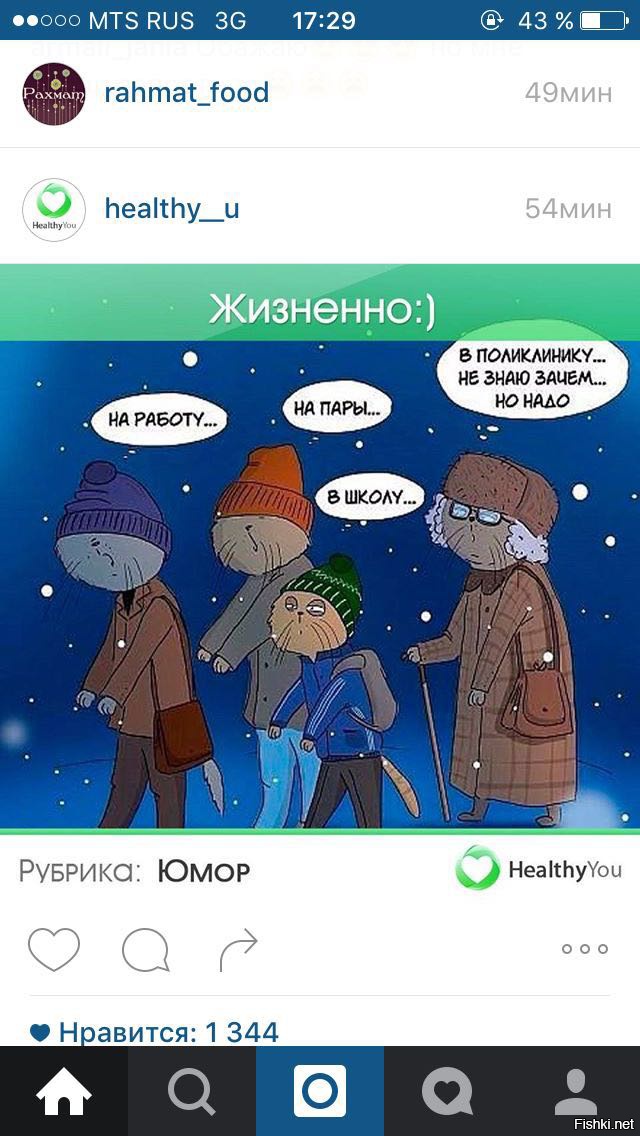 Из солянки от 24.02.2016