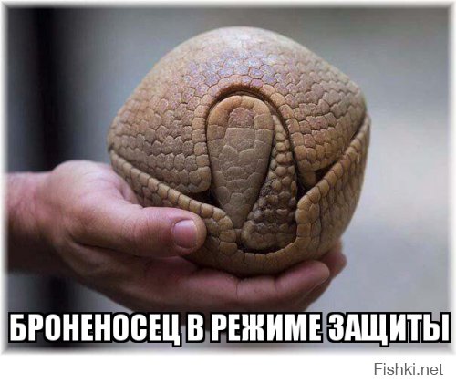 Ракурс имеет значение