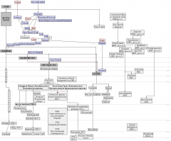 Даже не знаю как обозвать..  Древо христианских религий
