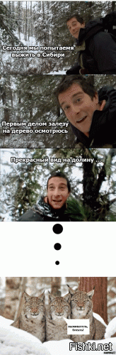 Из солянки от 24.02.2016