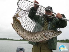 Подсак в подарок