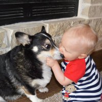 Дети и их питомцы