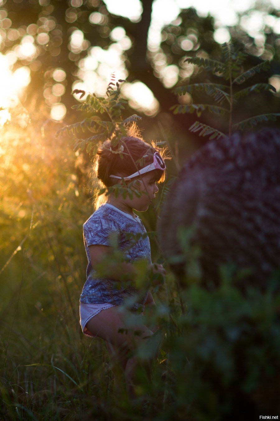 Из солянки от 24.02.2016