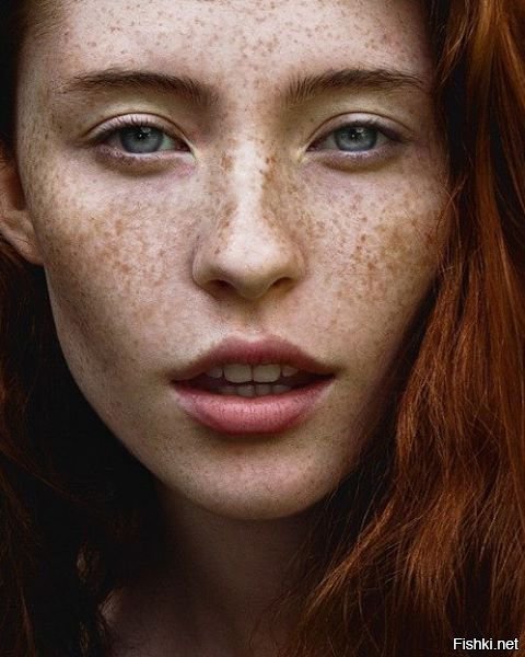 Из солянки от 24.02.2016