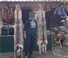 Шкура волка по 7-10 килорублей, рыночек на дороге на Лагонаки. Мистический трепет.