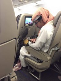 Вроде же не разрешают с "ружьем" летать?