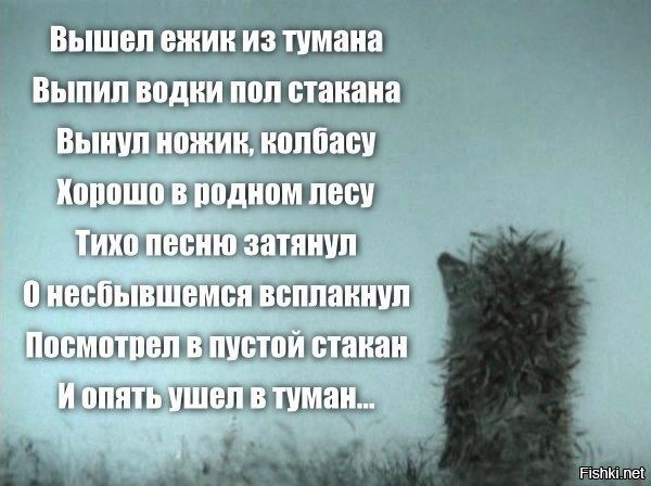 Из солянки от 24.02.2016