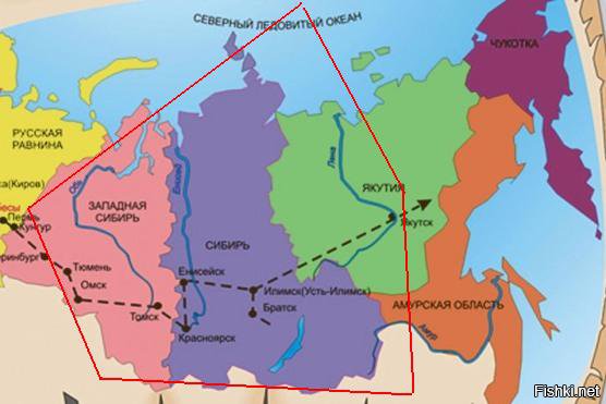 Из солянки от 24.02.2016