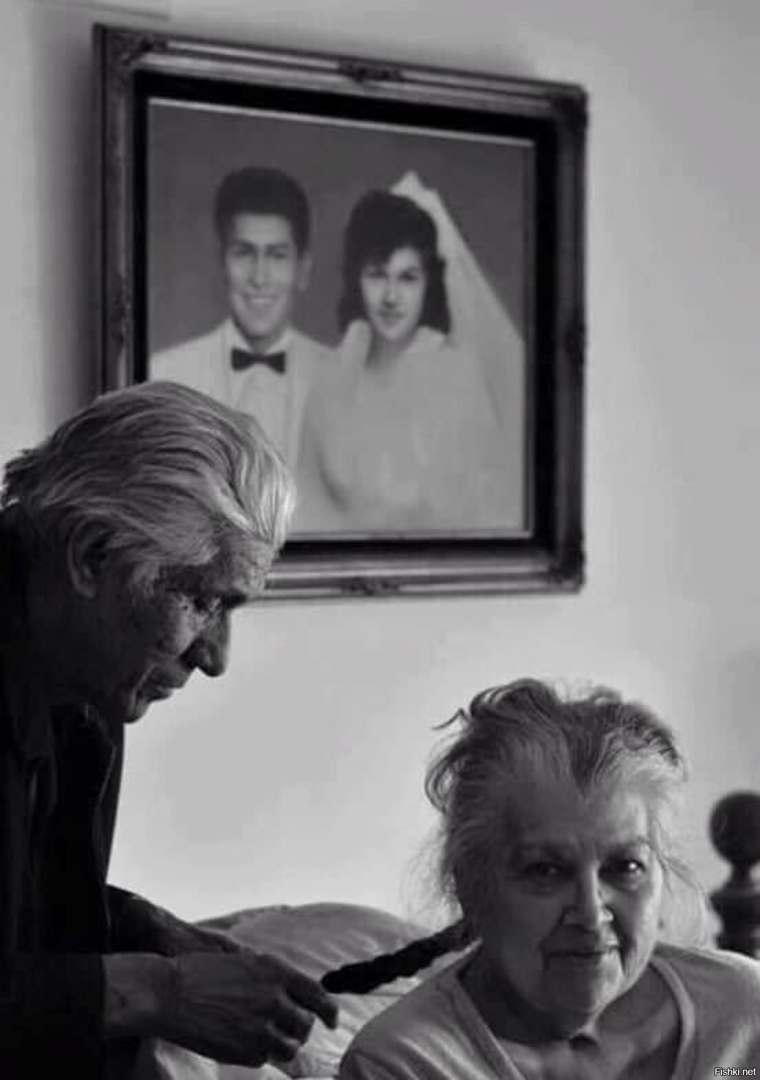 Из солянки от 24.02.2016