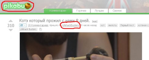 Здравствуйте. Видел Ваш пост на Пикабу. Не сомневался, что Вы знаете, про что пишете. А спрашивал я Форреста, который репостит все подряд, практически никогда не указывая источник. Кстати, как Вы относитесь к таким репостам? Ну, в смысле, без указания на настоящего автора. Не бывает обидно, что кто-то собирает Ваши лайки?