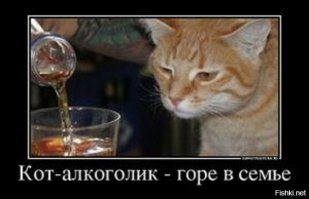 котов ты чтоль ? не узнаю вас  в гриме .