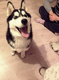 Та не проблема))