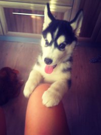 Та не проблема))