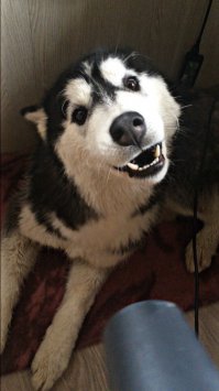 Та не проблема))