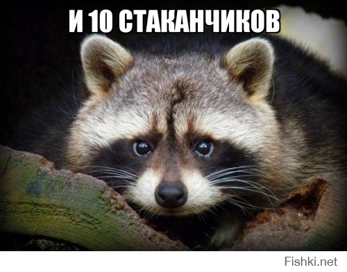 Из солянки от 24.02.2016