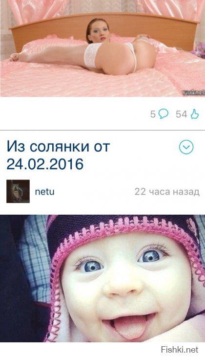 Из солянки от 24.02.2016