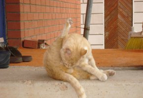 Бумажное искусство