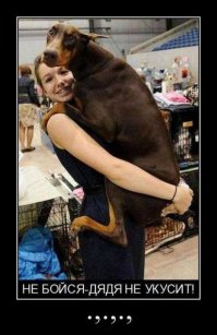 Он не кусается