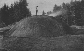 Размерчик маловат... то ли дело раньше жгли.