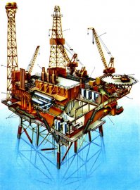 Фотоподборка за 25.02.2016