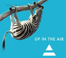 Первая воздушная зебра установлена в Москве