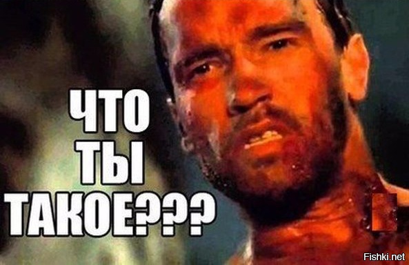 Из солянки от 25.02.2016