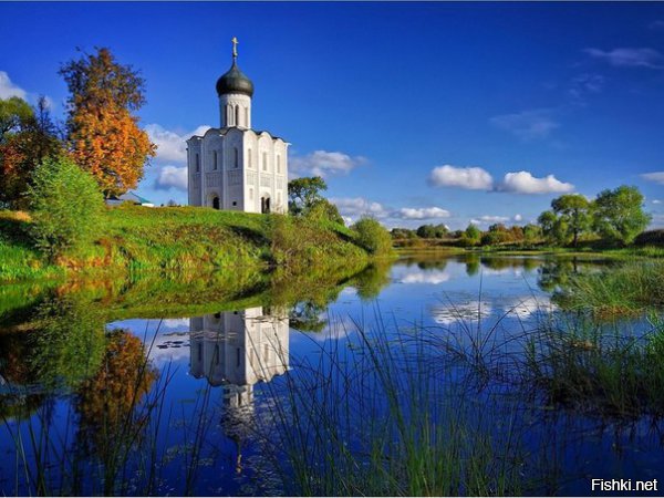 Из солянки от 25.02.2016