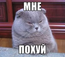 10 самых шокирующих преображений знаменитостей в 2015 году