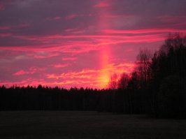 ранняя весна в Вологодской области