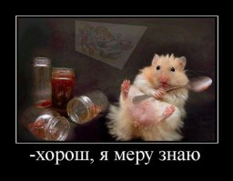 10 самых шокирующих преображений знаменитостей в 2015 году