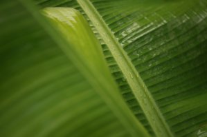 Фотографии, на которых нет ничего лишнего 