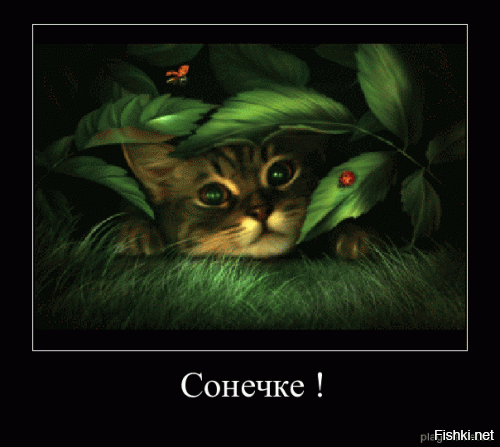 Из солянки от 18.02.2016