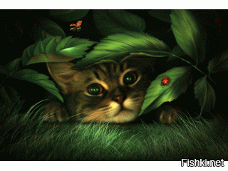 Из солянки от 18.02.2016