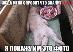 Дорвались, как Мартын до мыла!