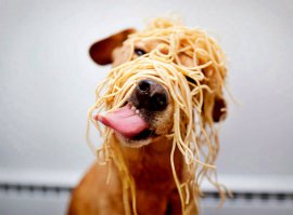 Дорвались, как Мартын до мыла!