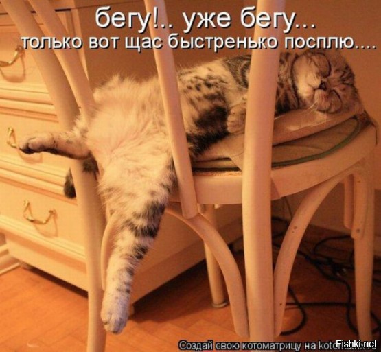 уйти бы в лето на заре