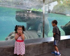 а девочка-то явно в курсе ))) Действительно- развиваются раньше мальчишек ))