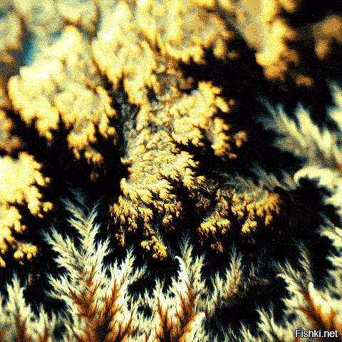 У меня это выглядит как-то так. :)