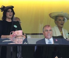 Фотоподборка за 26.02.2016