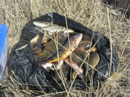 Красавец со второй фото был благополучно отпущен. Блин, как лето хочется....