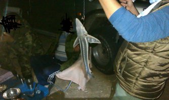 Красавец со второй фото был благополучно отпущен. Блин, как лето хочется....