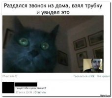 Смешные комментарии из социальных сетей 26.02.16
